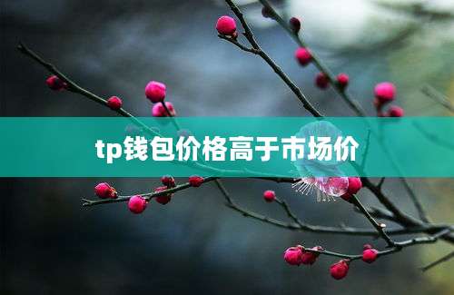 tp钱包价格高于市场价