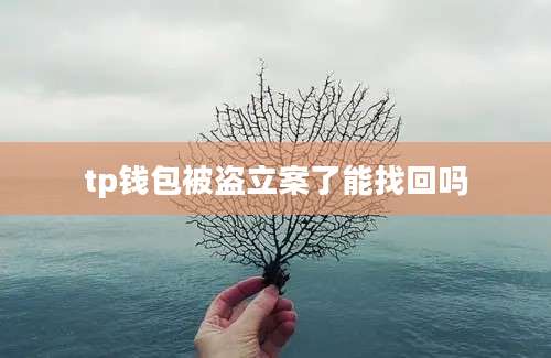 tp钱包被盗立案了能找回吗