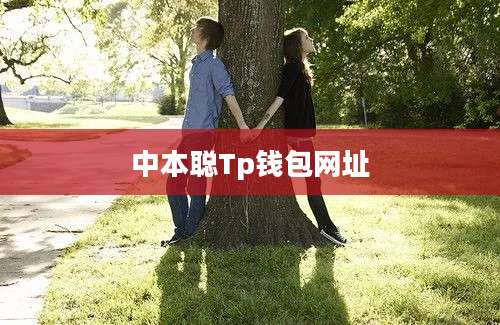 中本聪Tp钱包网址