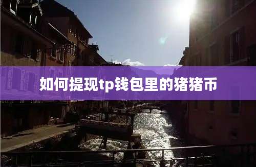 如何提现tp钱包里的猪猪币