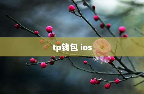 tp钱包 ios