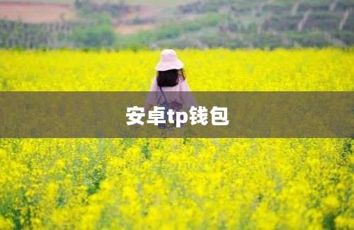 安卓tp钱包