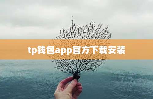tp钱包app官方下载安装