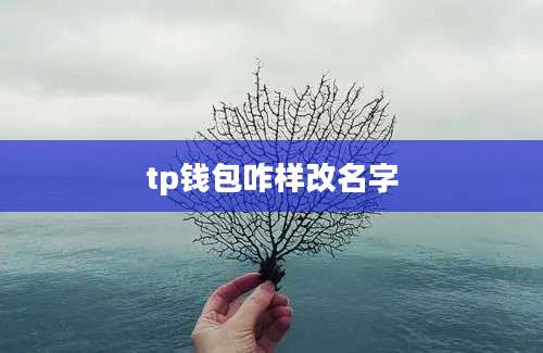 tp钱包咋样改名字