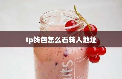 tp钱包怎么看转入地址