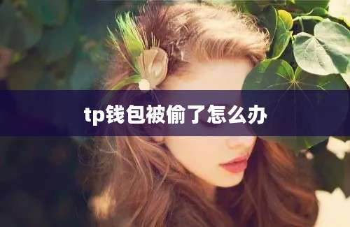 tp钱包被偷了怎么办