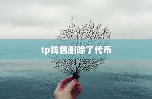 tp钱包删除了代币
