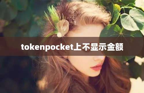 tokenpocket上不显示金额