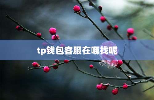 tp钱包客服在哪找呢