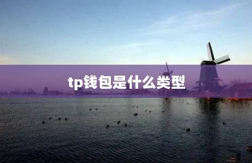 tp钱包是什么类型