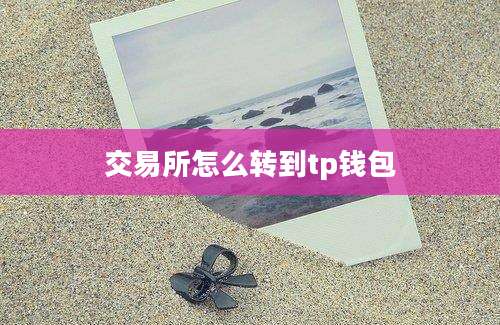 交易所怎么转到tp钱包