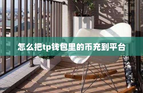 怎么把tp钱包里的币充到平台