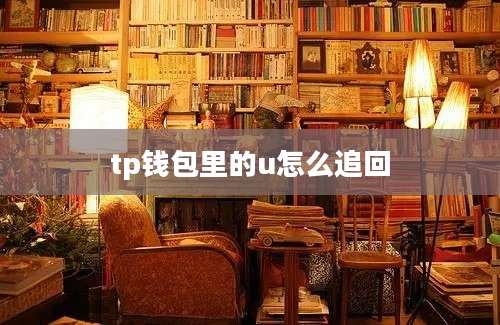 tp钱包里的u怎么追回