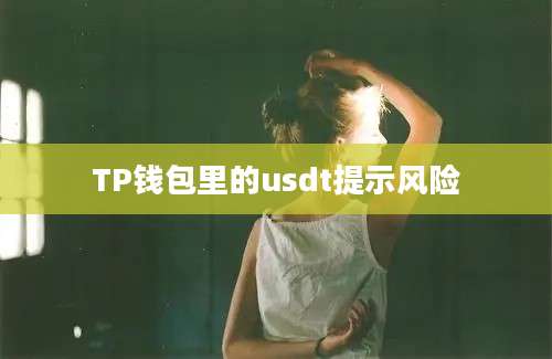 TP钱包里的usdt提示风险