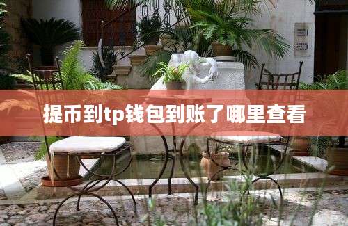 提币到tp钱包到账了哪里查看