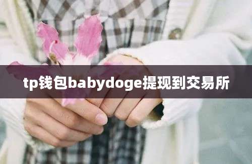 tp钱包babydoge提现到交易所
