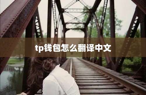 tp钱包怎么翻译中文