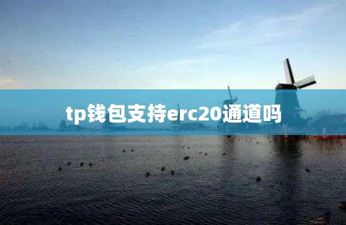 tp钱包支持erc20通道吗