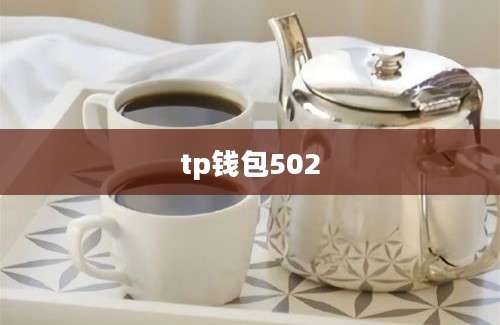 tp钱包502