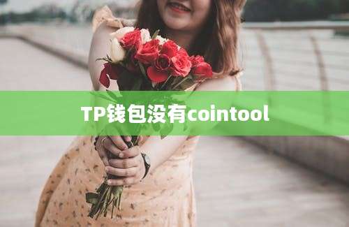 TP钱包没有cointool